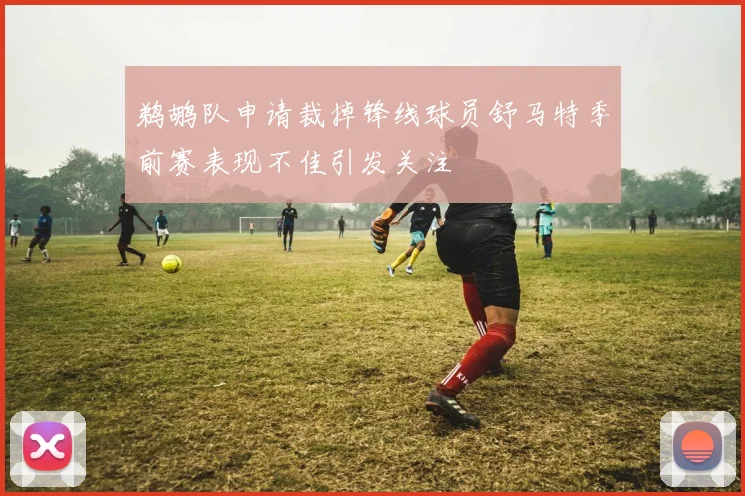 鹈鹕队申请裁掉锋线球员舒马特季前赛表现不佳引发关注