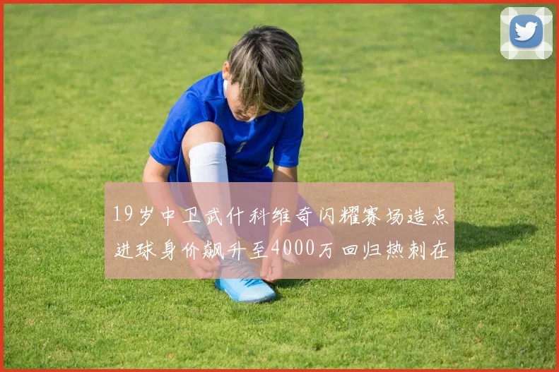 19岁中卫武什科维奇闪耀赛场造点进球身价飙升至4000万回归热刺在即