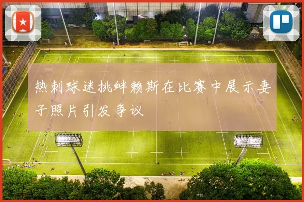 热刺球迷挑衅赖斯在比赛中展示妻子照片引发争议