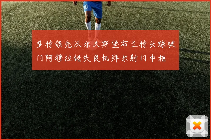 多特领先沃尔夫斯堡布兰特头球破门阿穆拉错失良机拜尔射门中框