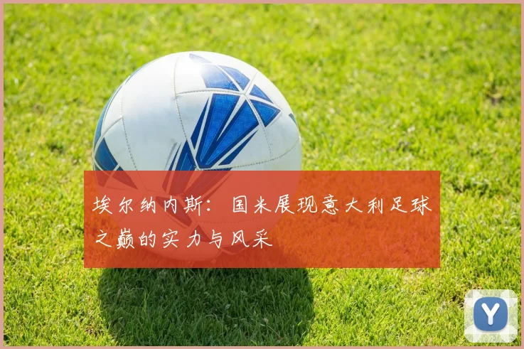 埃尔纳内斯：国米展现意大利足球之巅的实力与风采